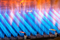 Nicholaston gas fired boilers